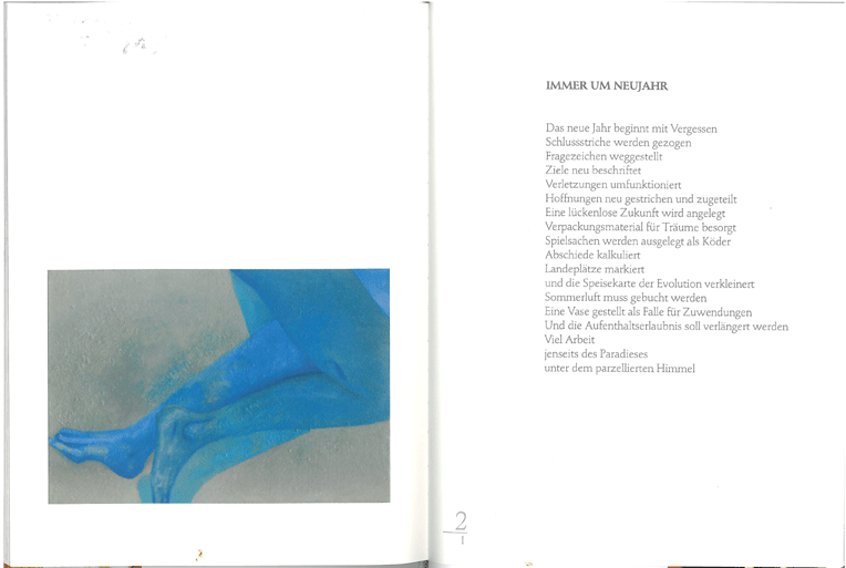 gefrierener nebel+noldes garten /  freezing fog+garden of nolde